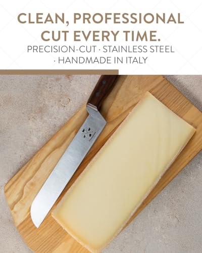 Professional Cheese Knife