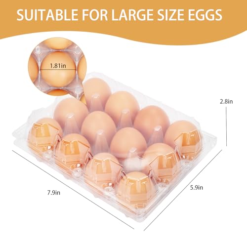 60Pack Plastic Egg Cartons Cheap Bulk 3x4 Grids Reusable Egg Containers (60 Count)