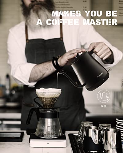 Electric Gooseneck Kettle