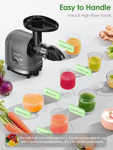 Masticating Juicer Machine 200W Slow Cold Press Extractor for Veggie