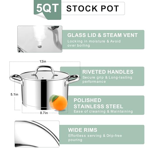 Stainless Steel Stock Pot