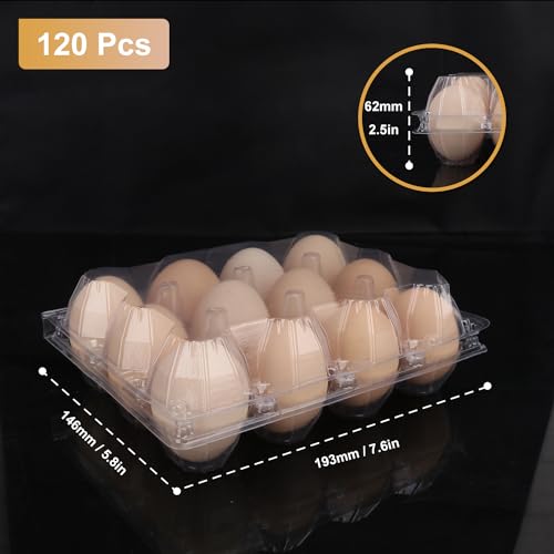120 Pack Bulk Egg Cartons (120 Count)