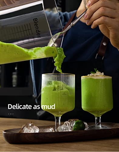 Quiet Commercial Blender with Soundproof Shield