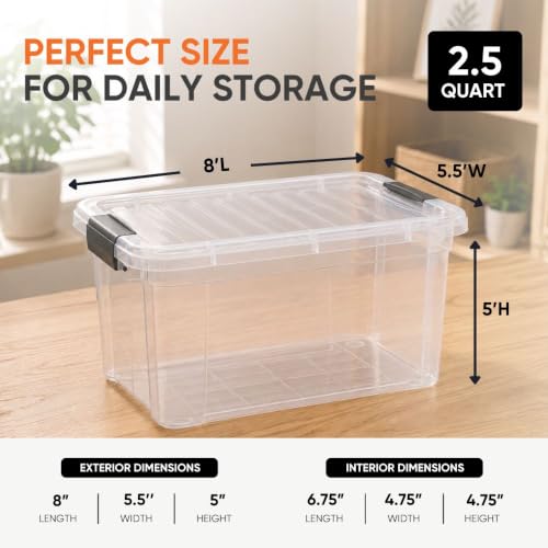 2.5 Quart Clear Plastic Storage Boxes with Lids (2 Count)