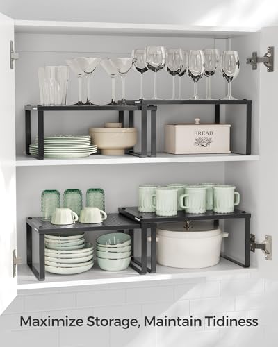 Set of 2 Metal Spice Racks (2 Count)