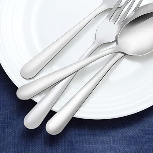 36 Piece Dinner Spoons Set (36 Count)