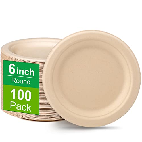 Paper Plates 6 inch (100 Count)