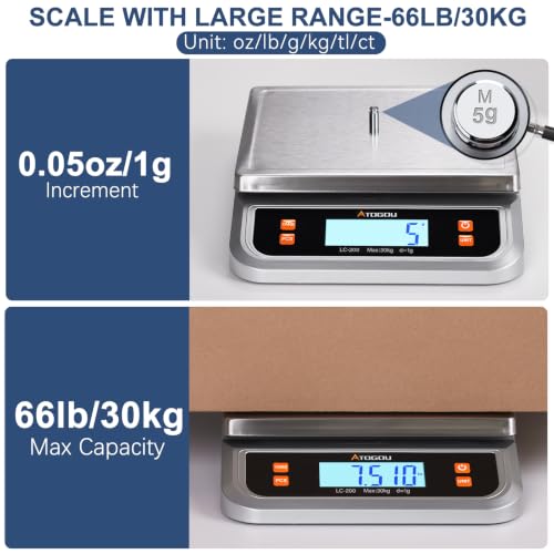 66lb Food Scale