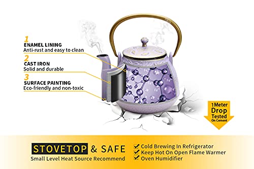 Tea Kettle TOPTIER Japanese Cast Iron Teapot with Stainless Steel Infuser