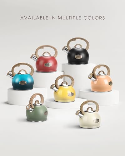 2.1 Qt Whistling Tea Kettle for Stovetop with Heat