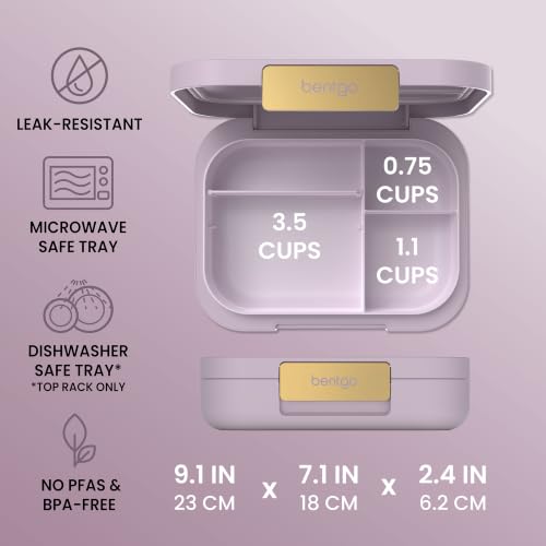 Modern Adult Bento Lunch Box with 3