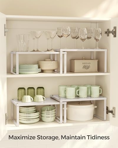 Set of 2 Metal Spice Racks (2 Count)