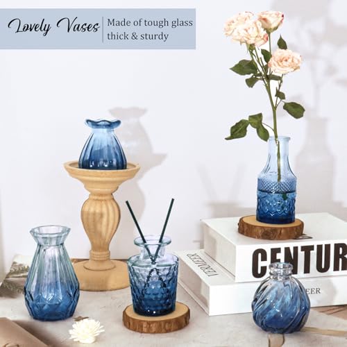 Set of 36 Glass Bud Vases Small Flower Vases for Centerpieces (36 Count)