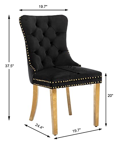Black and Gold Velvet Dining Chairs Set of 2 (2 Count)