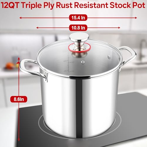 12 QT Stock Pot with Lid