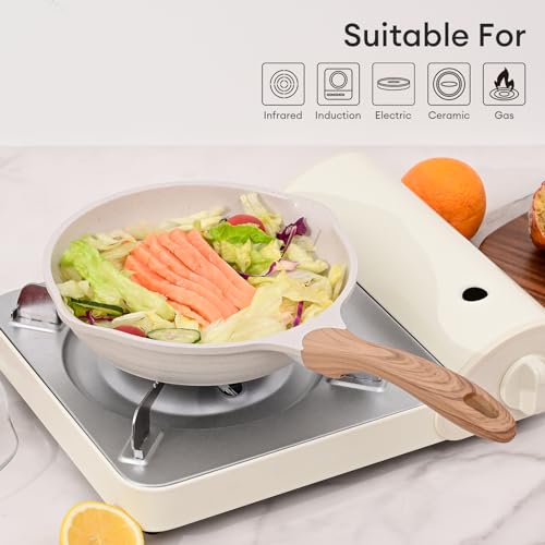 11 Inch Nonstick Frying Pan Skillet with Dual Spouts Cooking Pan