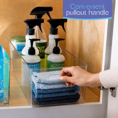 Plastic Food Storage 2 Pack Clear Container Bin with Handles for Organizing Kitchen