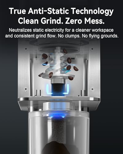 Electric Conical Burr Coffee Grinder with Removable Coffee Scale