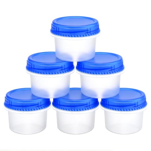 6 Pack Freezer Containers with Screw On Lids (6 Count)