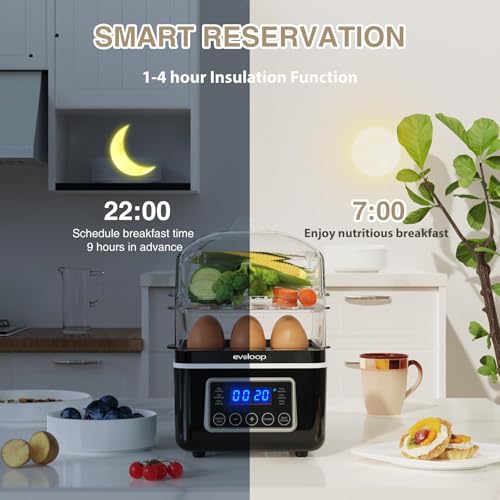 2 Tiers Electric Food Steamer for Cooking (2 Count)