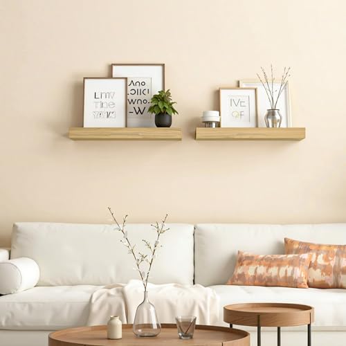 Floating Shelves for Wall (2 Count)