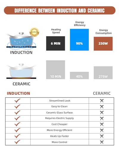 Electric Stove Induction Cooktop Horizontal with 2 Burners in Black Vitro Ceramic Smooth Surface Glass 120V