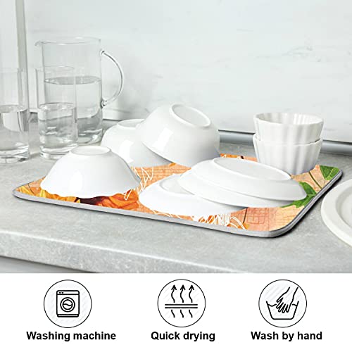 Super Absorbent Dish Drying Mat