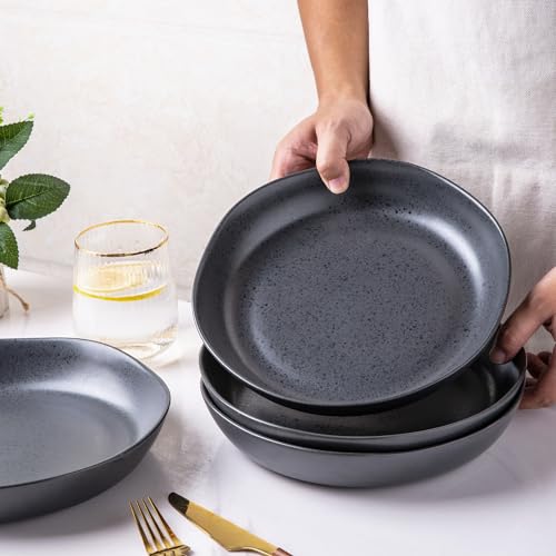 Ceramic 9.75 inch Large Flat Pasta Bowls (4 Count)