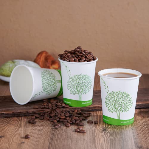 300 Count 8 oz Compostable Paper Cups