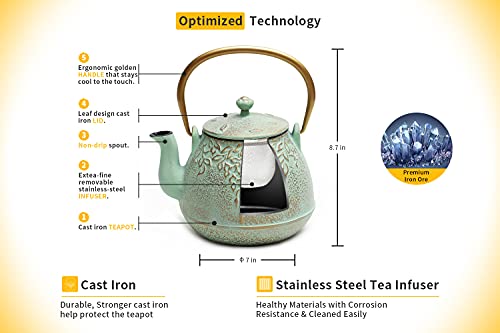 Tea Kettle TOPTIER Japanese Cast Iron Teapot with Infuser for Loose Leaf and Tea Bags