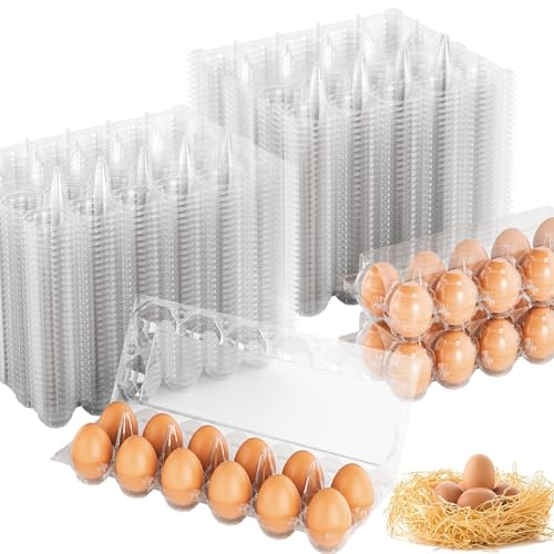 Egg Cartons Cheap Bulk 100 Pack (100 Count)