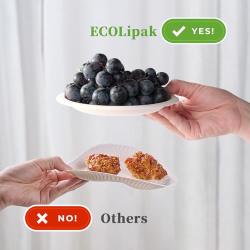 6 in 500 Pack White Disposable Compostable Dessert Paper Plates (500 Count)