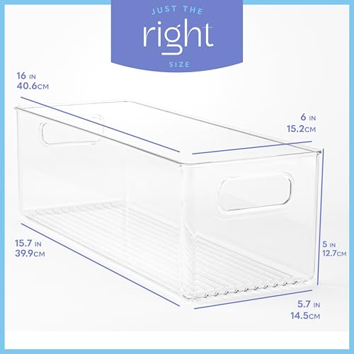 Plastic Food Storage Clear Container Bin with Handles for Organizing Kitchen