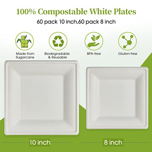 120 Pack Compostable Paper Plates Disposable (60 Count)