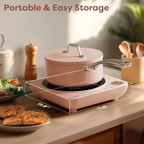 Portable Induction Cooktop