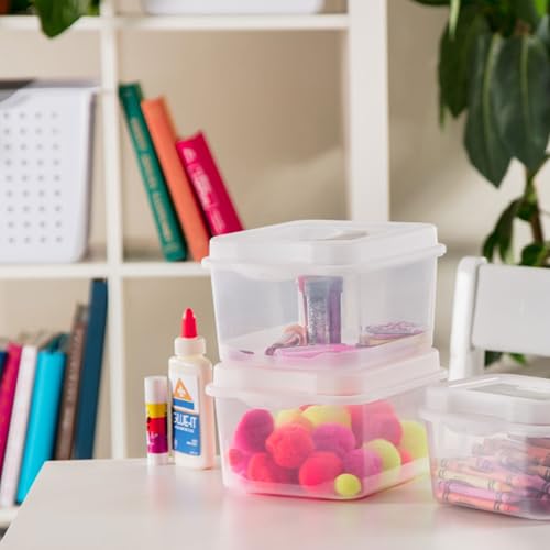 18038612 Small Flip Top Storage Box (24 Count)