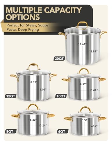 Stainless Steel Stock Pots
