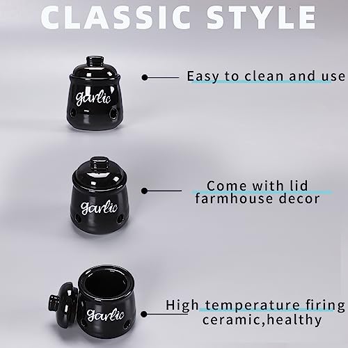 Ceramic Mini Garlic Saver Container for Countertop (12 Ounce)