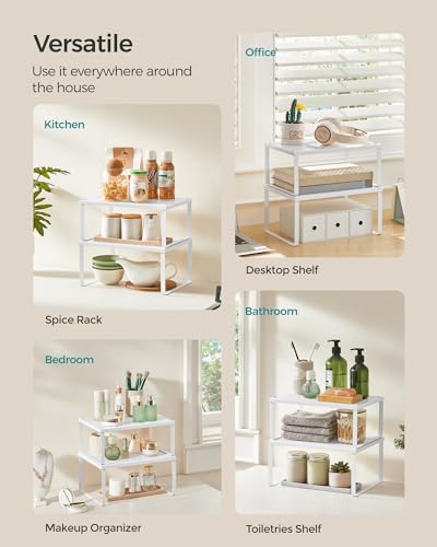 Set of 2 Metal Spice Racks (2 Count)