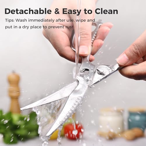 Heavy Duty Kitchen Scissors
