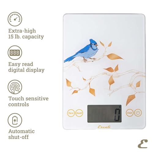 Arti Blue Jay Glass Food Scale Digital Countertop Kitchen