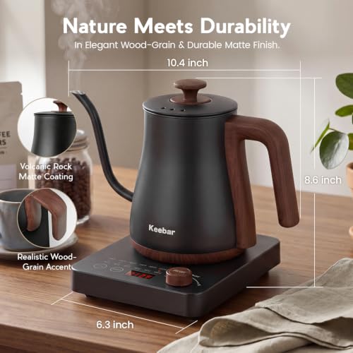 Gooseneck Electric Kettle
