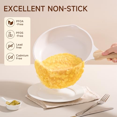 9.5 Inch Nonstick Frying Pan Skillet with Dual Spouts Omelet Egg Pan