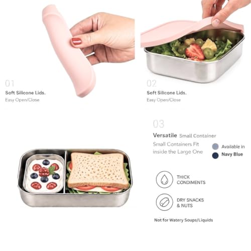 Flexibento Leak proof 47 OZ Stainless Steel Lunch Box Containers with Silicone Lids