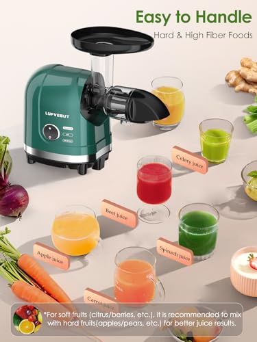 Cold Press Juicer Machine Slow Masticating Extractor for Celery Wheatgrass Spinach Ginger Cucumber Kale