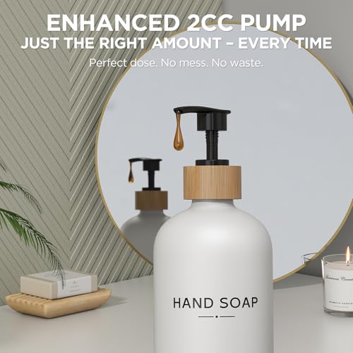 Hand and Dish Soap Dispenser Set (2 Count)