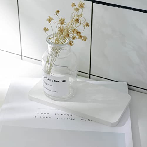 2Pcs Stone Soap Trays Water Absorbing Diatomite Coaster