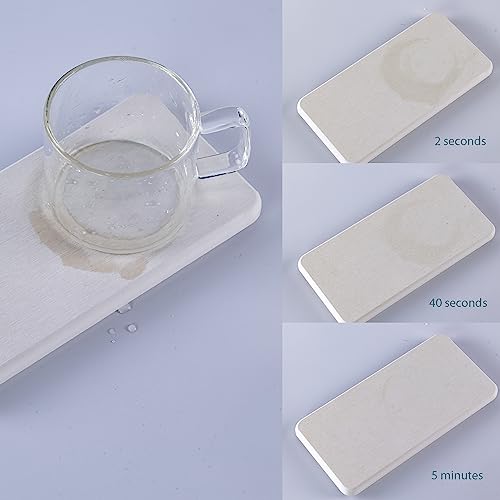 2Pcs Stone Soap Trays Water Absorbing Diatomite Coaster