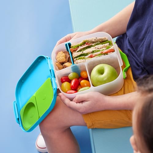 Mini Lunch Box