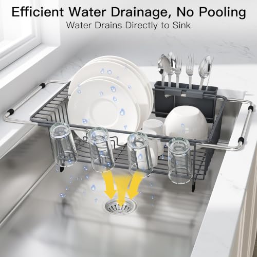 Gray Dish Drying Rack in Sink with Drainboard and Utensil Holder